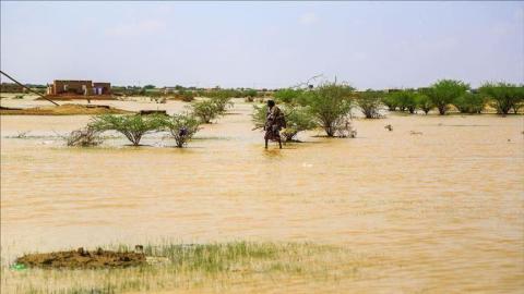 صورة من الارشيف