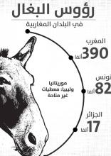 صورة تعود لارشيف الفاو  2018