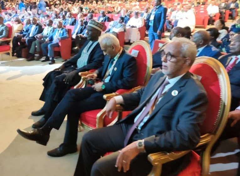 موريتانيا تشارك في احتفالية اليوم الإفريقي لعام 2026
