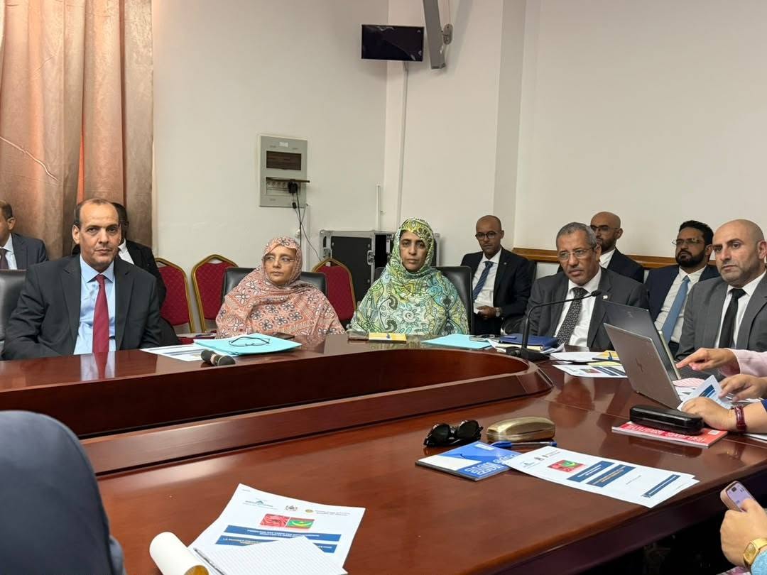 ولد صدفي: إصلاحات المالية العمومية أسهمت في تحسين تنفيذ الميزانية