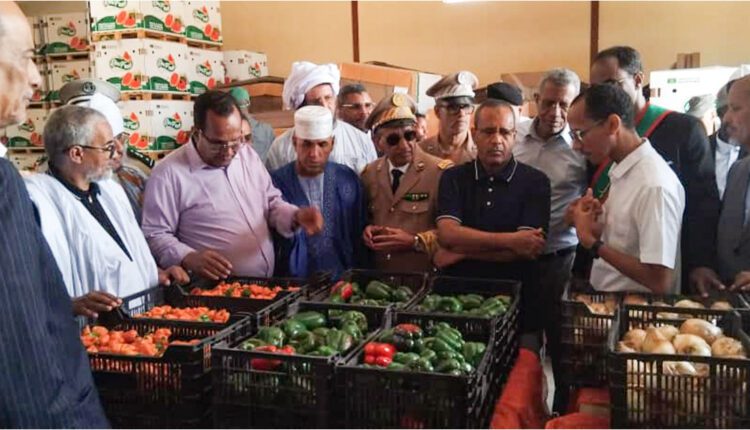 وزير الزراعة يتفقد عدد من المشاريع والمنشآت في كرمسين وروصو