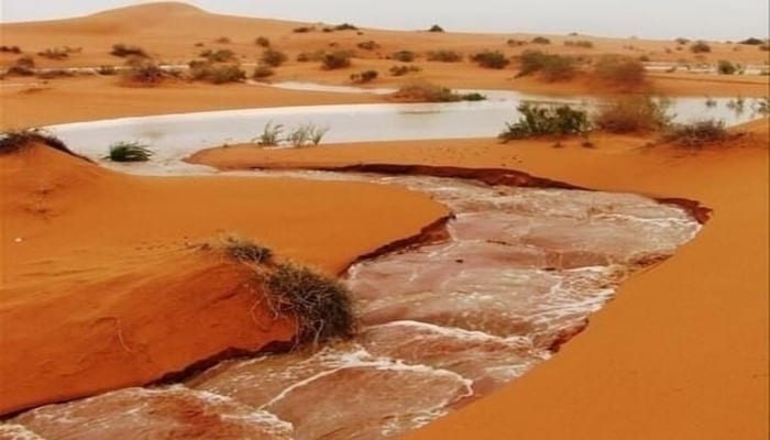 الأرصاد تتوقع تساقطات مطرية على عدة ولايات خلال اليومين القادمين