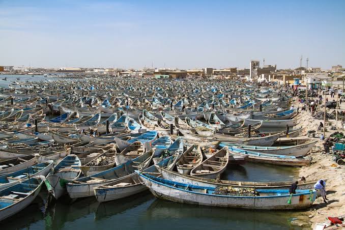 مراجعة دولية لنظام الرقابة الصحية على منتجات الصيد في نواذيبو