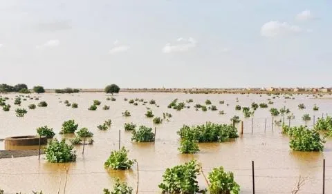 تسجيل تساقطات مطرية متفاوتة في خمس ولايات موريتانية
