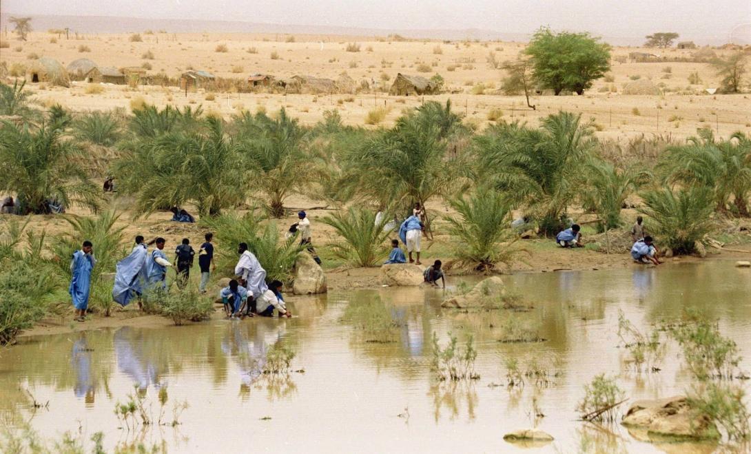 تساقطات مطرية تسجل في مناطق بالحوض الشرقي خلال الساعات الماضية