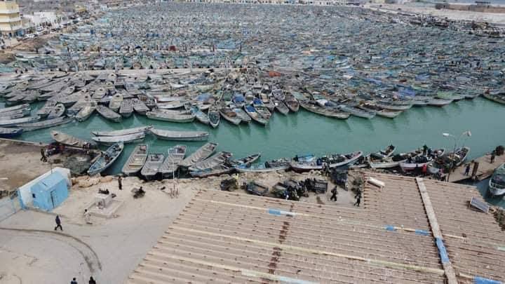 بدء فترة التوقف البيولوجي في المياه الموريتانية